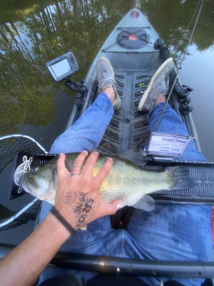 Nauti_Fish's tweet photo. Solid week! 

Landed 22, 21.75, 19.75, 19.75, 19.5 inch Virginia bass.

These top 5 currently got me sitting in 1st for Fast Cast Baits tournament &amp; 3rd for KBF. Still trying to find those two other upgrades I need. But it’s been a grind. 

#NautuFish #Bass #Fishing #Kayaking https://t.co/RpjVksXRCK