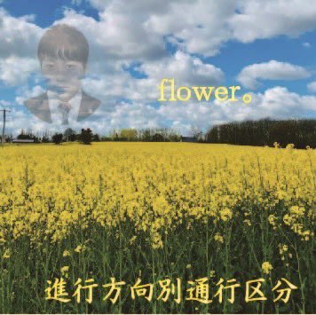 進行方向別通行区分 flower。 jornaldoabcpaulista.com.br