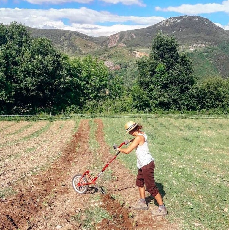fessrural's tweet photo. ⚡️De què parlarem al FESSrural? ⚡️

1/3 de 🐮 sobirania alimentària 🍎

👉Com és la producció d'aliments a la muntanya?
👉Quins reptes afronta?
👉Què podem fer per tenir més sobirania i autonomia?
👉Què podem fer les consumidores?
👉Quin paper hi té l'administració? https://t.co/4fGffBHlI1