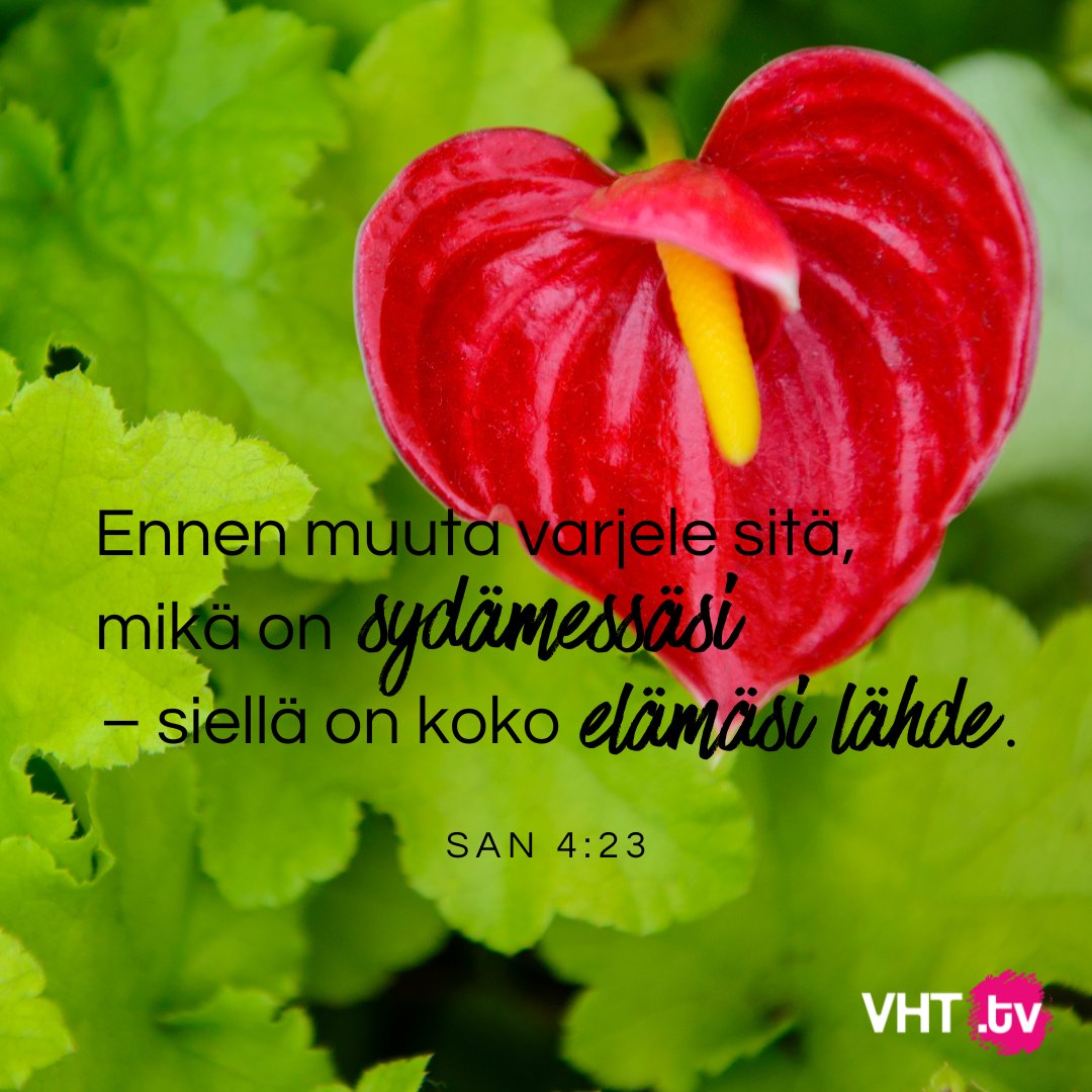 vht_tv's tweet photo. Jumala ei katso meidän menneisyysteen vaan Hän katsoo meidän sydämeen. Kun tulemme hänen luokseen, meidän ei tarvitse pelätä kohtaavamme tuomitsevan Jumalan. Hän katsoo mitä olemme juuri sillä hetkellä, kun seisomme hänen edessään: Onko meillä jano? Haluammeko muuttua? https://t.co/2V13UEtr6h