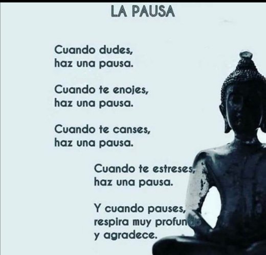 La pausa ,es una buena clave para esperar ,analizar y seguir..