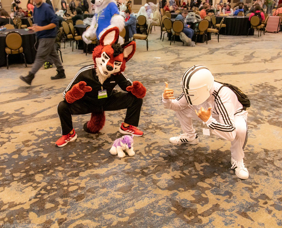 wolf_ezo's tweet photo. Cykaaaaaaa

#FursuitFriday #TFF2023 

📸@FiestaDaFox https://t.co/NQZZdWDWHJ