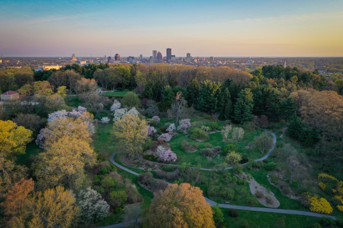 CityRochesterNY's tweet photo. Rochester is blossoming! https://t.co/fpqZf44wcK