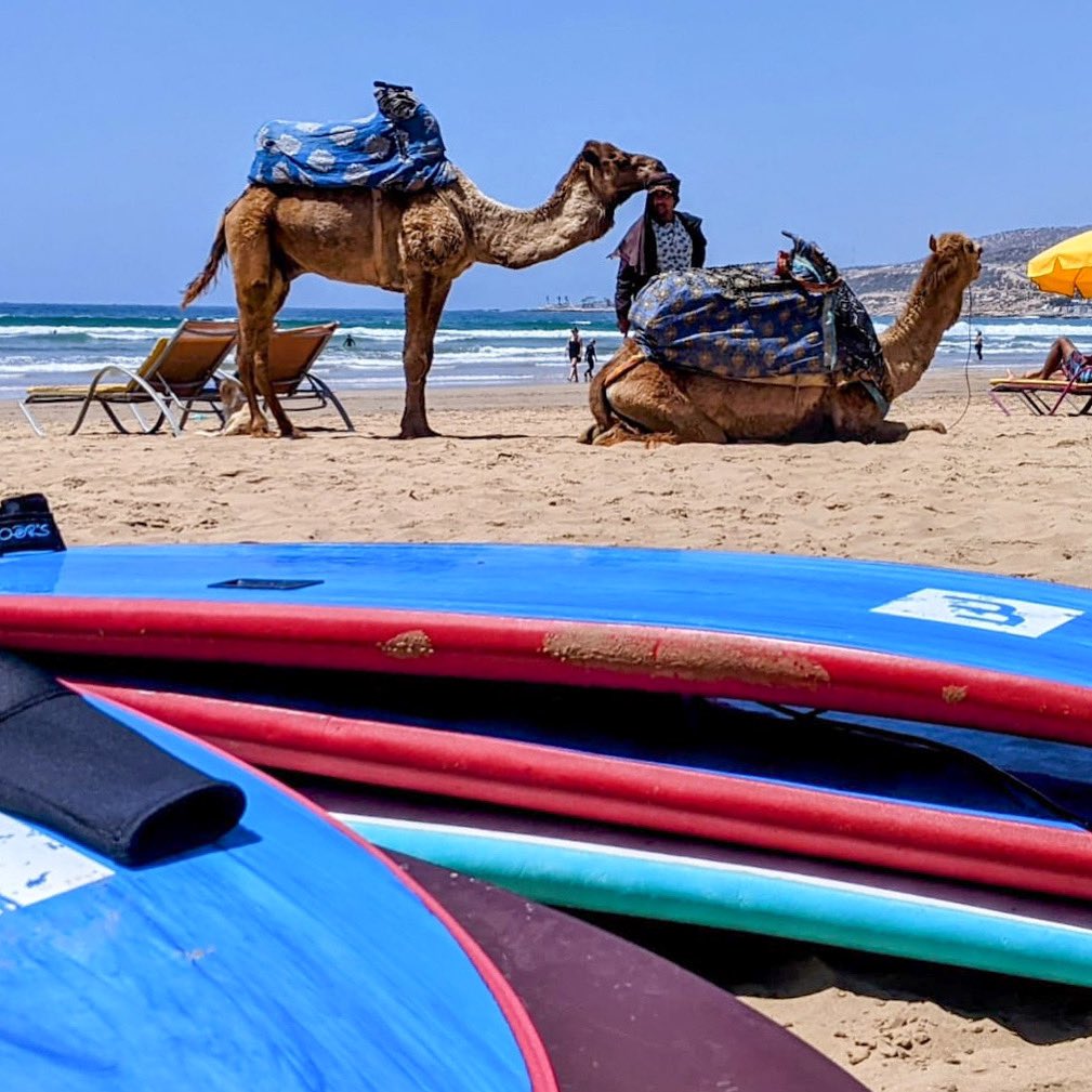 ShakaSurfMoroc's tweet photo. Postcard from Morocco.
#surftrip #surf #surfholiday #holiday #sunshine #blueskies #surfvacation #morocco #agadir #tamraght #surfsessions #beachlife #views #surfers #learntosurf #surfschool #surflesson #stoked https://t.co/fOaOv2ZSaE
