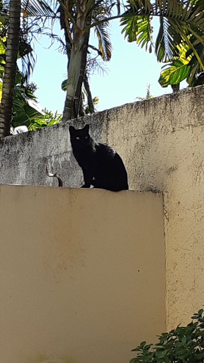 Ela ainda vem em casa ^^