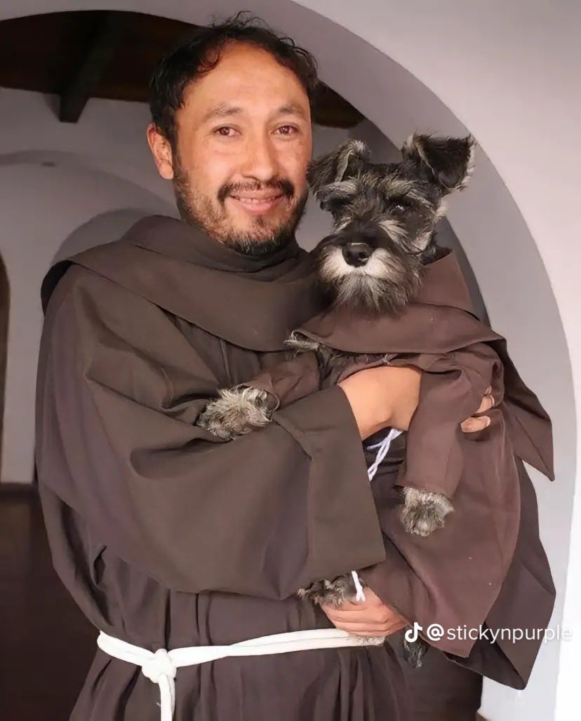 byungerking's tweet photo. o cachorrinho que pareceu num monastério na Bolívia e foi adotado pelos monges e colocaram o nome dele de “frade bigodão” https://t.co/1LkPsoRLD4