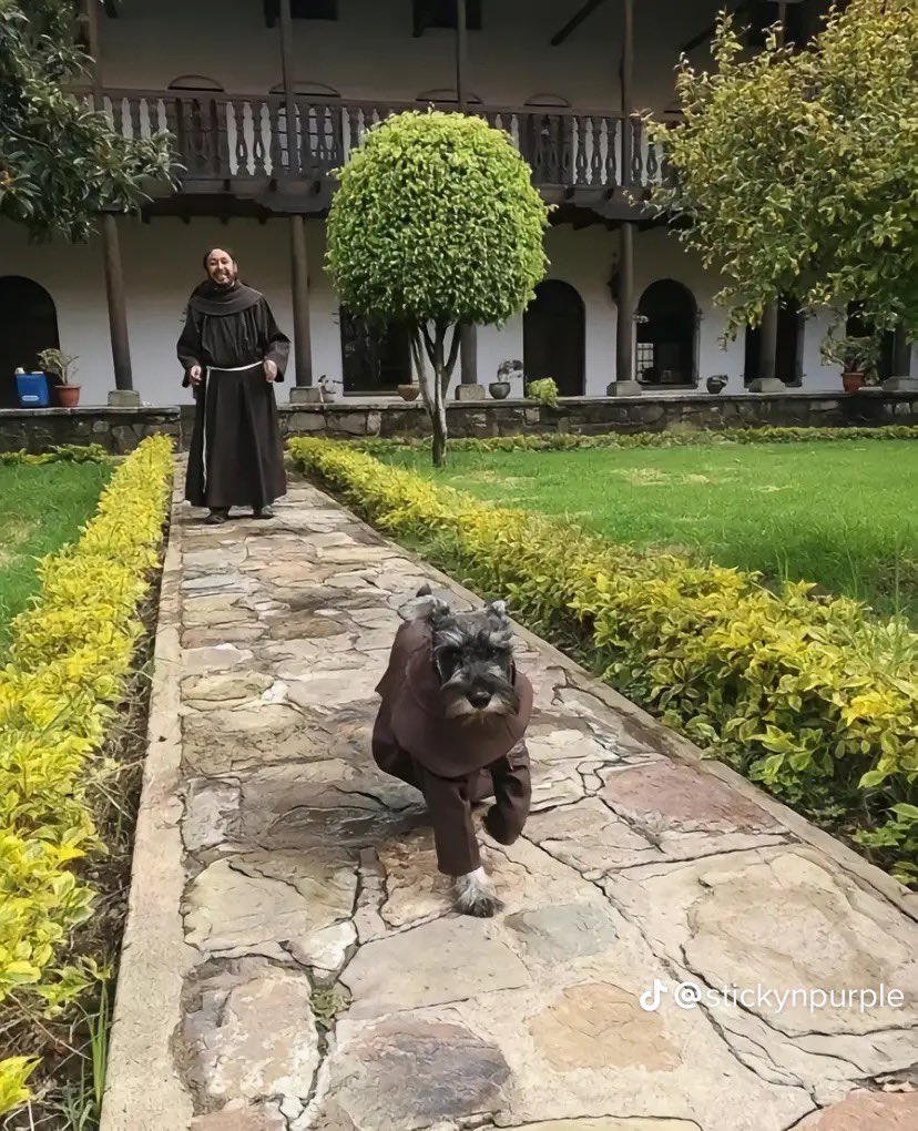 byungerking's tweet photo. o cachorrinho que pareceu num monastério na Bolívia e foi adotado pelos monges e colocaram o nome dele de “frade bigodão” https://t.co/1LkPsoRLD4