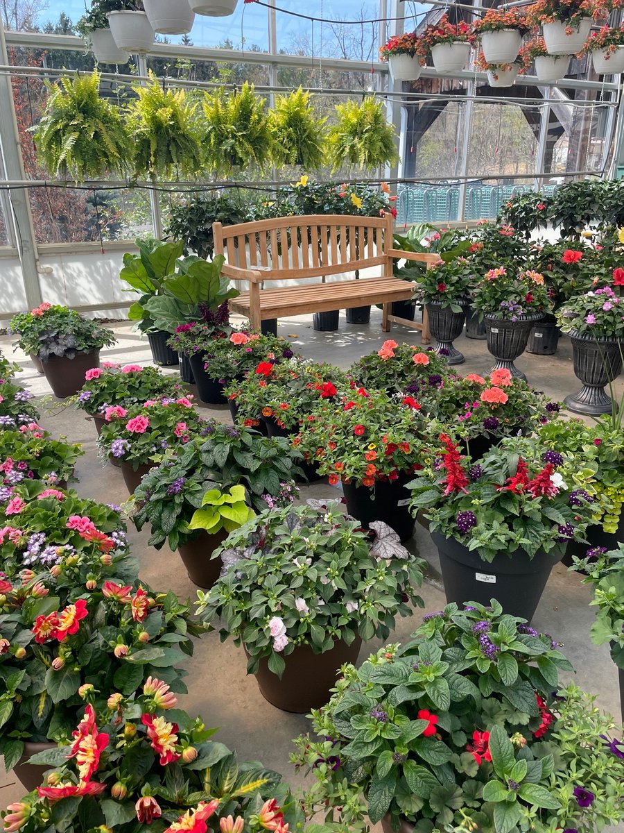 Master_Nursery's tweet photo. Bedner's Farm &amp; Greenhouse in McDonald, Pennsylvania, has @MN_BumperCrop Soil Builder and beautiful spring color. It’s Bumper Crop Season! https://t.co/5udBzuTW95 #BumperCrop #SoilBuilder #MasterNursery #ItsBumperCropSeason @coastofmaineorg https://t.co/UBerJsN0Cp