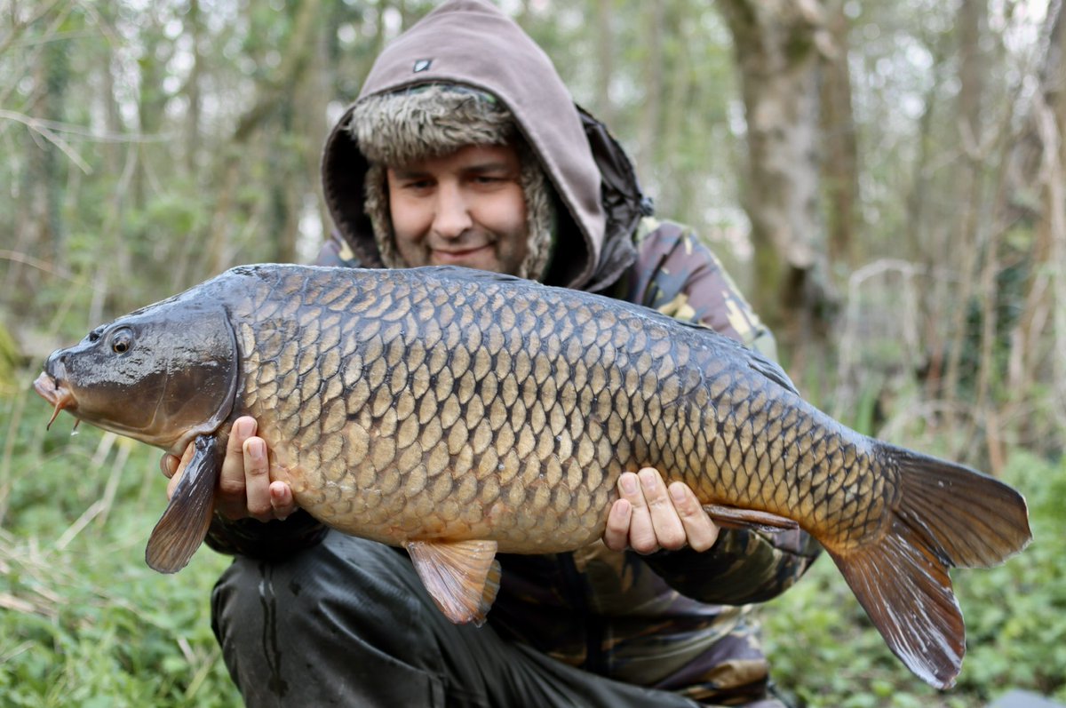 Ash_Lorraine1's tweet photo. πππ yellow singles doing the business πππ #a2baits https://t.co/L9HHHDfAam