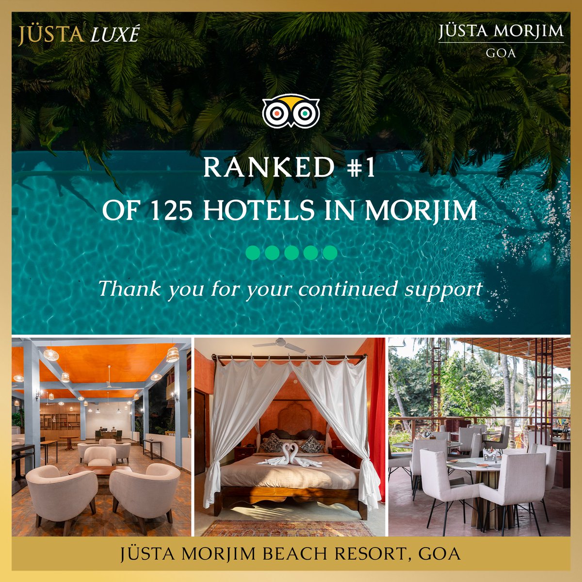 Justahotel's tweet image. jüSTa Morjim Beach Resort, Goa, ranked as #1 out of 125 hotels in Morjim on TripAdvisor, offers an unparalleled experience that combines luxury with nature. 

For Bookings, Call or WhatsApp: +91-9590-777-000 

#tripadvisor #morjimbeach #goa #offers #wireroom #goadiarie