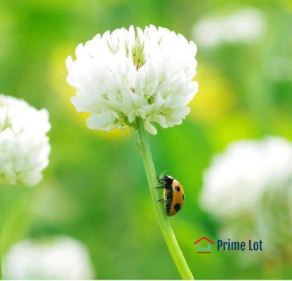 Primelot1's tweet photo. Condo For Sale Yuyan #condoforsale #sellproperty #furnished  https://t.co/EPnvaDNxZo https://t.co/4P2zuUxDkB