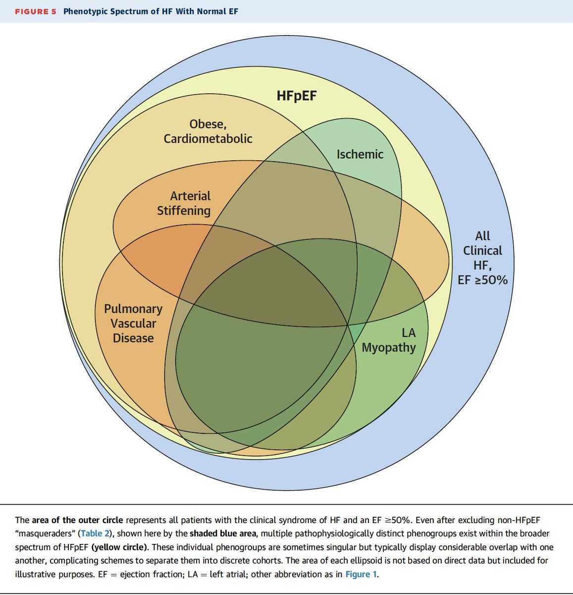 #SeminalPaper #JournalClub by <a href="/CatedraFisUMA/">Cátedra Fisioterapia UMA</a>
jacc.org/doi/10.1016/j.… Multiple phenotype hypothesis Heart Failure preserved Ejection Fraction