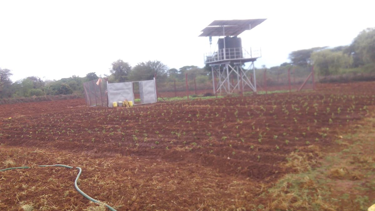 We are proud to share the success of our project, which had a significant impact on the marginalized communities in ASAL regions. This program, we aimed to improve food security and provide a source of income for the communities.

mtr.cool/vjeqcmvbkf
info@thesourceplus.org