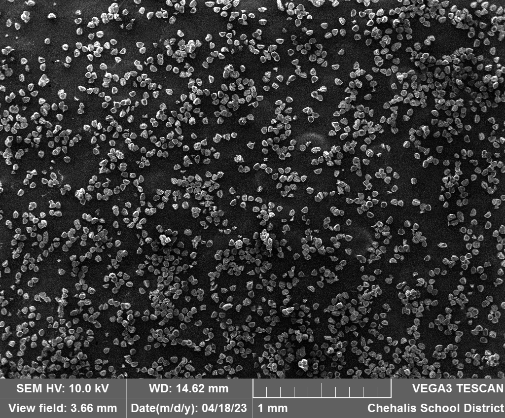 wfw_sem's tweet photo. Sadie Dahlin | Tulip Pollen #allergyseason https://t.co/4Q3Z3PSCvI