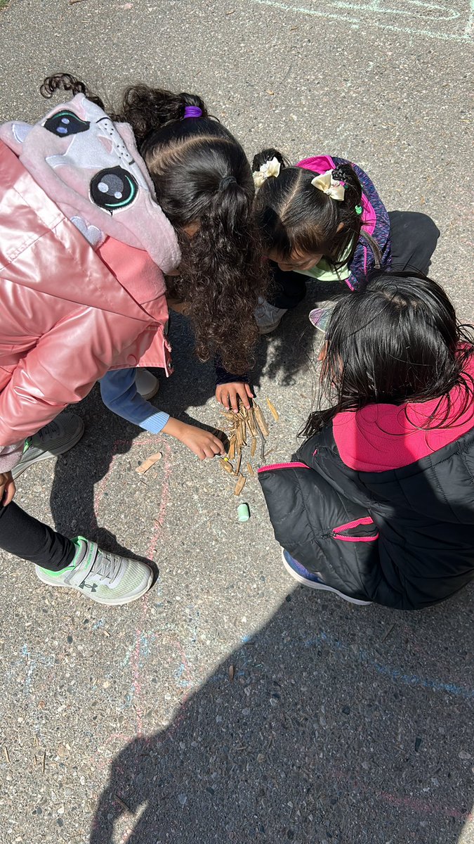 DeeganRego_FDK's tweet photo. Outdoor exploration in FDK! Students we’re making a bed for the ants out of sticks 🐜 https://t.co/mMxWPm7g1R