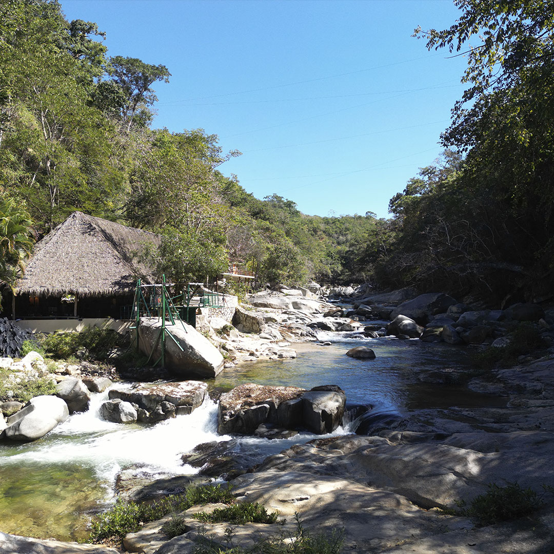 JaliscoEsMexico tweet picture