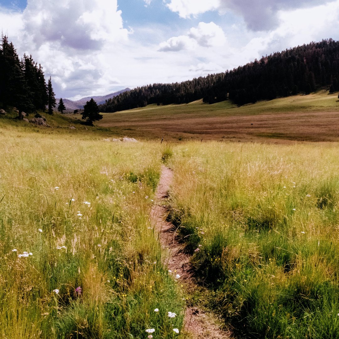 nmwild's tweet photo. Earth Day is tomorrow! Still looking for a way to give back this year? Check out our events page for a couple of great opportunities that will get you outside this weekend! https://t.co/RBuR9uuPc6
#nmwild #newmexico #nmtrue #earthday2023 #getoutside #nmoutside #volunteernm https://t.co/uFUiePUusm