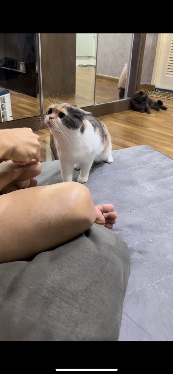 aahrahr's tweet image. ทำไมเดินมาดูป๊าจับเท้าแม่แล้วทำหน้าแบบนี้อะ5555555555