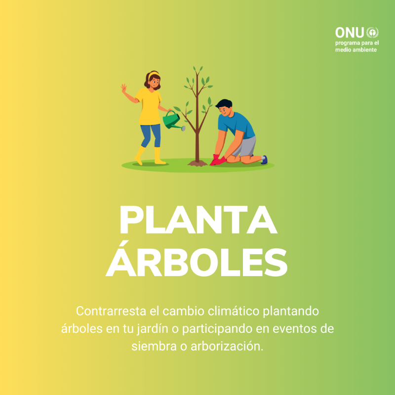 unep_espanol's tweet photo. La Madre Tierra insta a actuar con valentía para hacer frente a la triple crisis planetaria.

Este #DíaDeLaTierra nos recuerda que todos tenemos un rol que desempeñar en la protección de nuestro hogar común y en la consecución de la paz #ConLaNaturaleza.