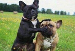 blaqsynug's tweet photo. This happened wen I called my none Muslim friend's name at the mosque during futaali🤔🤔🤐 https://t.co/fNkFJzYZMq