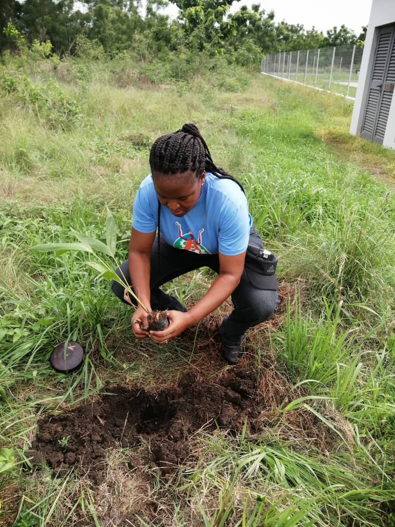 uesdgh's tweet photo. Members of the UESD ladies club plant seedlings 🌱 on campus, as part of activities marking their 1st anniversary
#UESDLADIESCLUB
#HOPE23 https://t.co/p2VluUt5hc