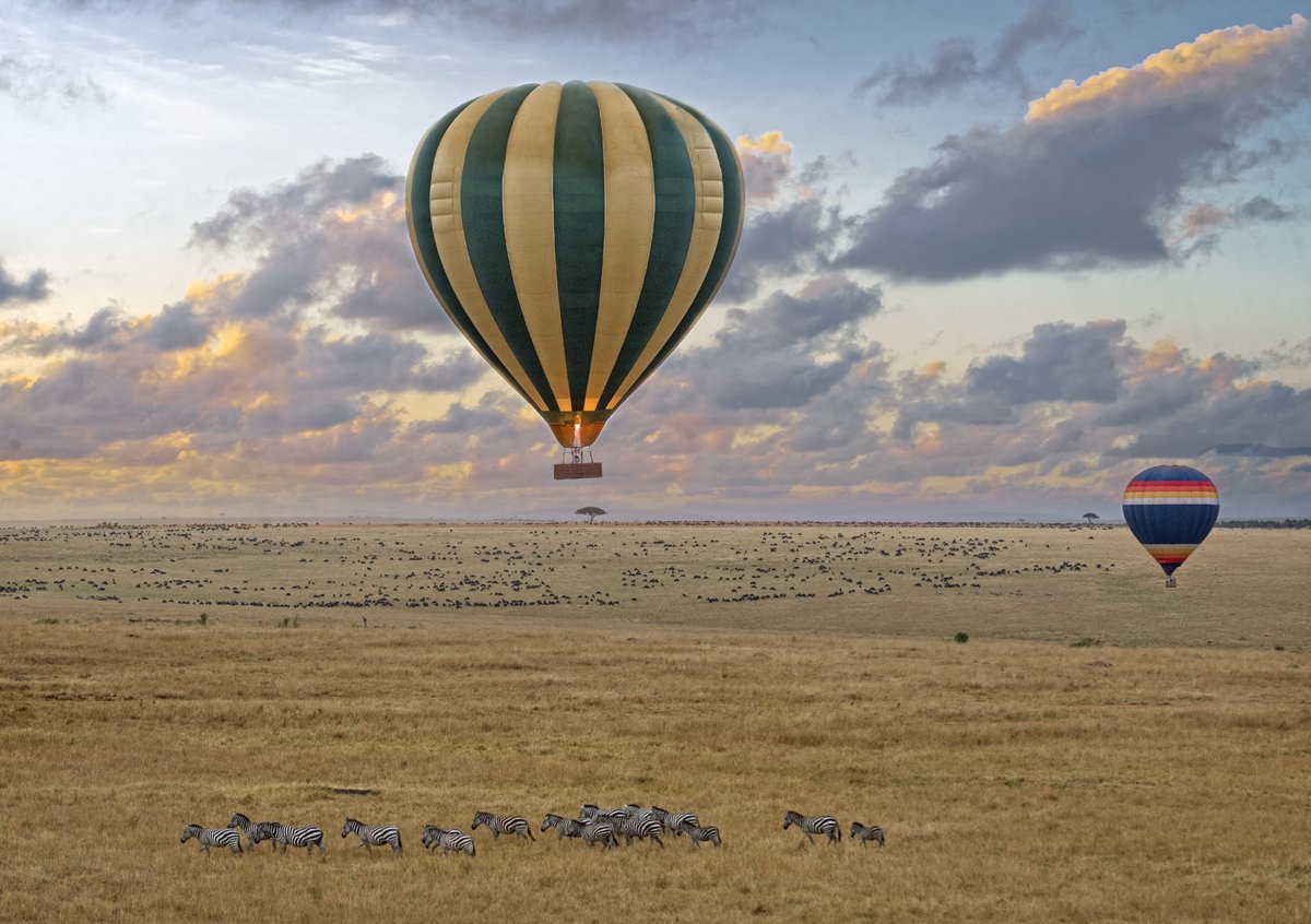 Tanzania is East Africa’s most definitive and stirringly original safari destination.
See More - bit.ly/41uz1A9

#tanzaniatravel #tanzaniasafari #hotairballoonride #safariphotography #serengeti #serengetimigration #tanzaniatourism #wildlifeonearth