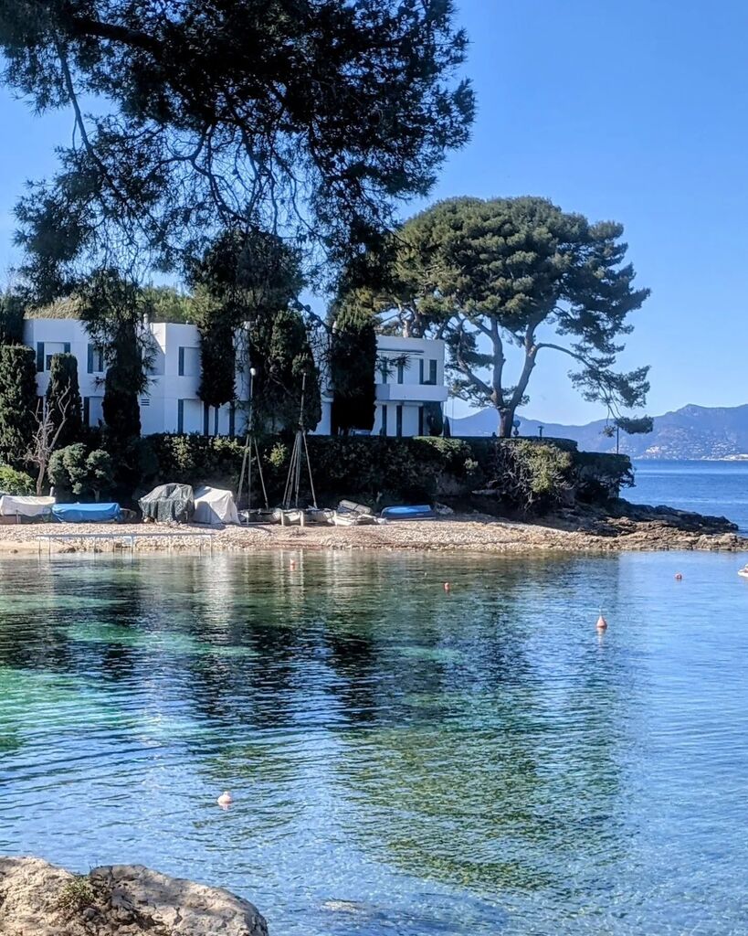 Phoebe Thomas tweet media