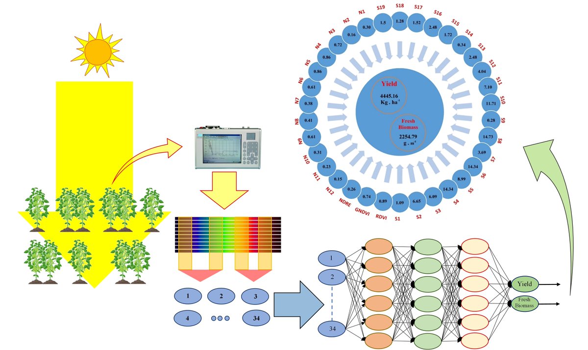 RemoteSens_MDPI's tweet photo. #notablepaper
📢 Using Hybrid #ArtificialIntelligence and #EvolutionaryOptimization Algorithms for Estimating #SoybeanYield and #FreshBiomass Using #Hyperspectral #VegetationIndices
by Mohsen Yoosefzadeh-Najafabadi, Dan Tulpan, and Milad Eskandari
🔗https://t.co/wQqeVtfpxi https://t.co/tdoxA0Z3JG