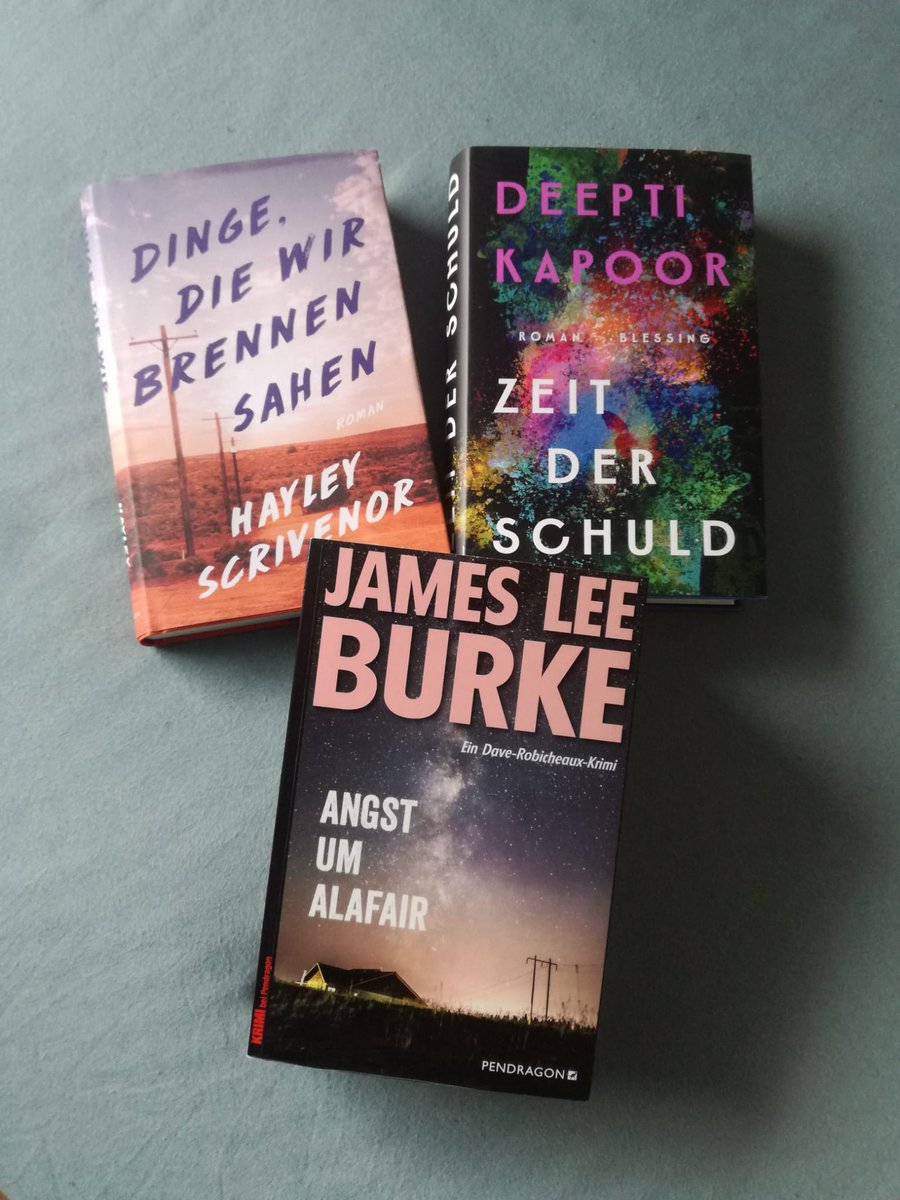 Bevor es nachher mit einer frischen Rezi weiter geht, hier ein Blick auf Gunnars aktuellen Lesestapel. Mit @JamesLeeBurke #DeeptiKapoor und #HayleyScrivenor nach Australien, Indien und die USA. @PendragonVerlag @eichbornverlag @BlessingVerlag #CurrentlyReading