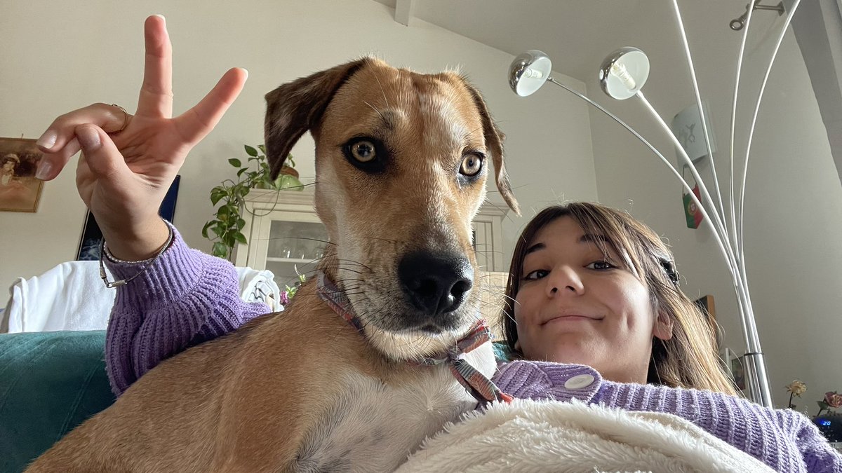 LyaCetin's tweet photo. Le chien c’est le meilleur pote de l’Homme 🫶🏻 https://t.co/eZZrUPugWL
