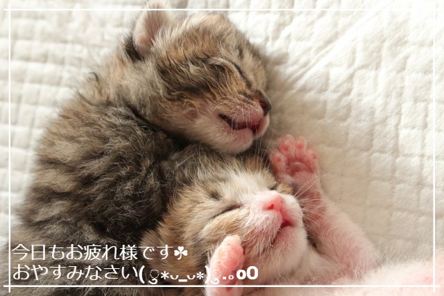 XinyuKaizen's tweet photo. 疲れやイライラを感じている時、呼吸が浅くなっていませんか💦

心や身体が緊張している時は、大きく息を吸い込み、
ぎゅ～っと全身に力を入れてから、ふーっと吐き出してみて😊

息を吐くと同時に不要なものも吐き出してしまいましょう～🪄✨

やなことやなこと飛んでけ～(･･*)ﾉ ⌒◇ﾎﾟｲｯ https://t.co/pTi3K3CTdX