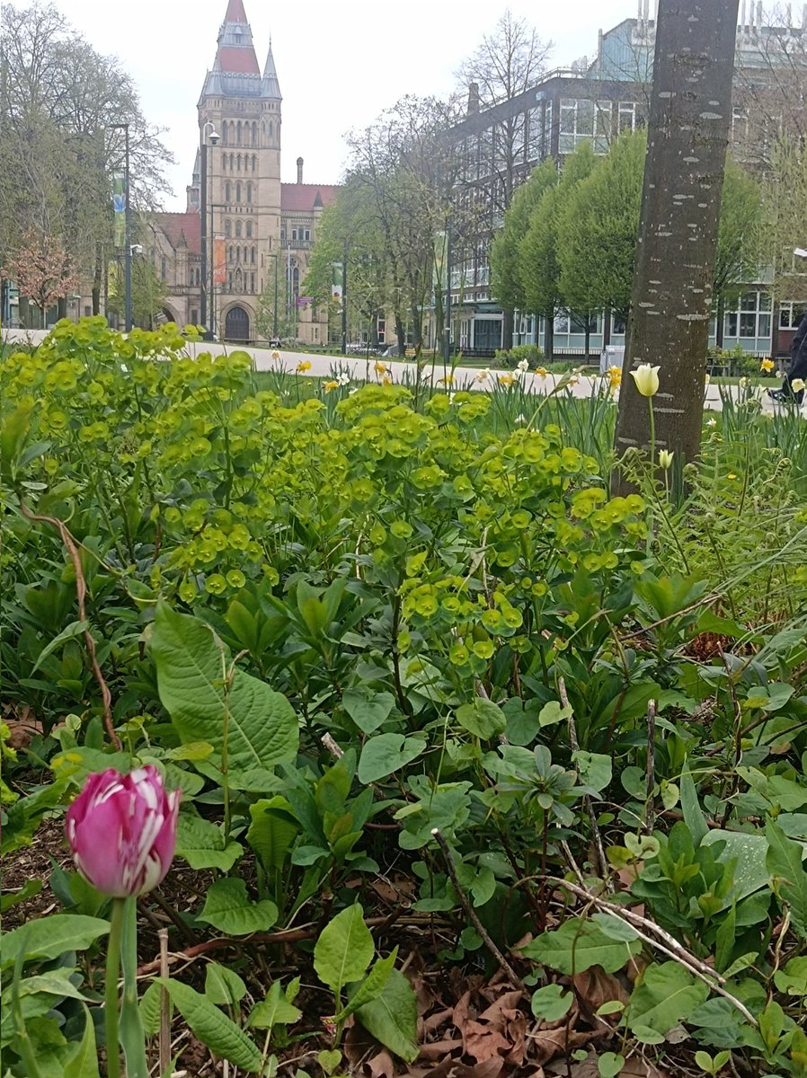 Spring on campus