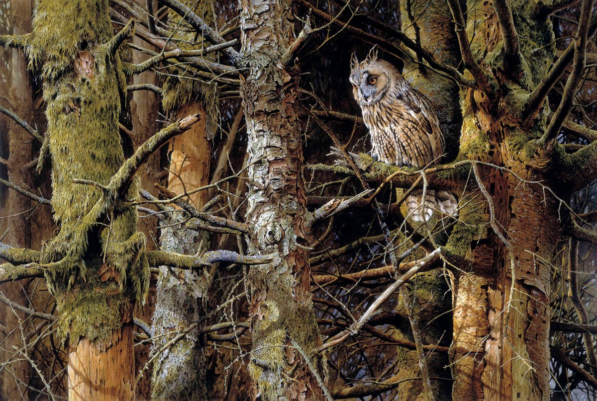 Very sad to report that our friend &amp; brilliant bird painter Terance James Bond has died. A master of the ultra-realistic form of wildlife art &amp; a lovely man. Our thoughts are with his wife Jill, who has been there right from the start. Thanks Terry, you were one in a million.