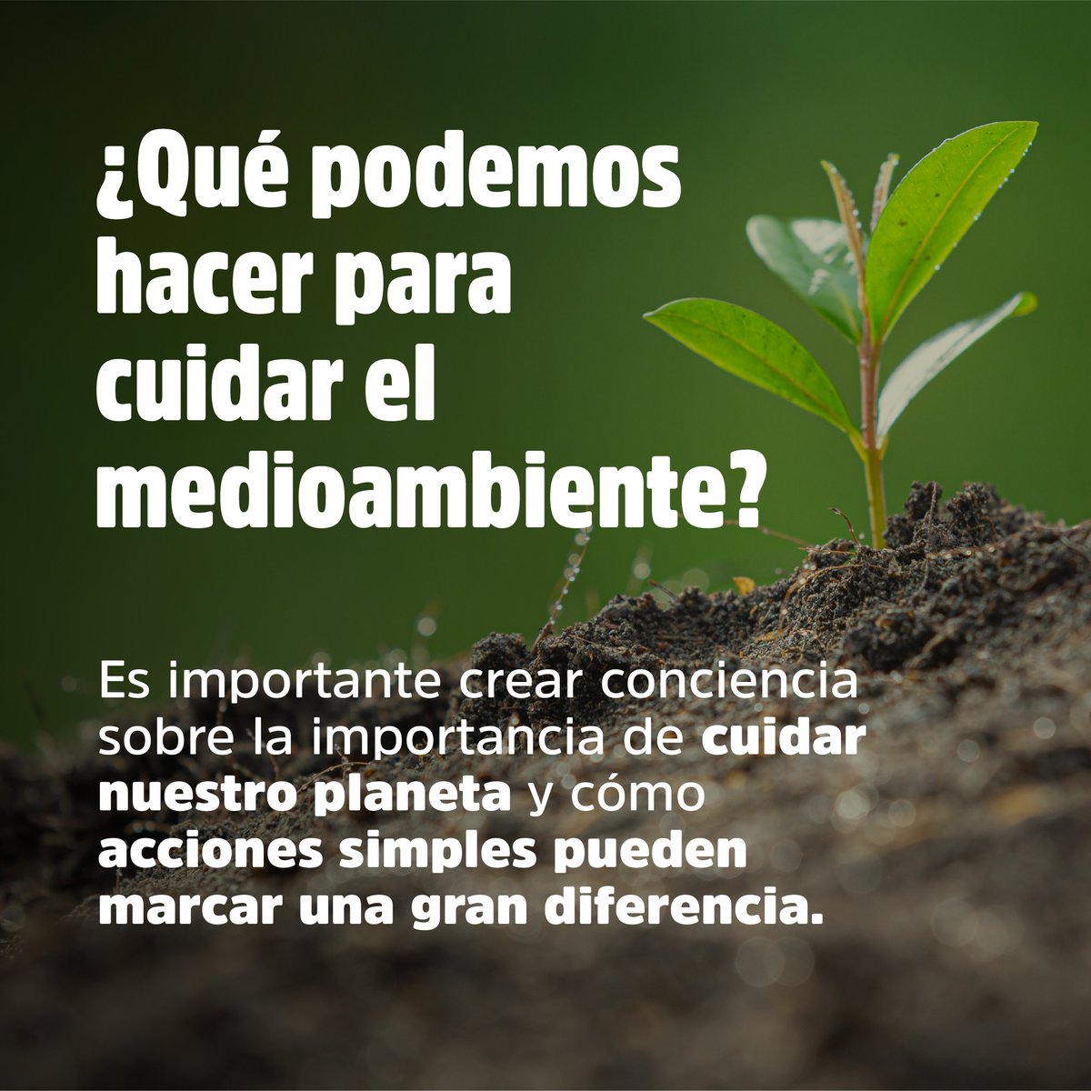 GobiernoTucuman's tweet photo. El cuidado del medioambiente es responsabilidad de todos, si nos involucramos podemos lograr cambios significativos para preservar el planeta. ♻️🌿🌏 https://t.co/oaCO8YPVSN