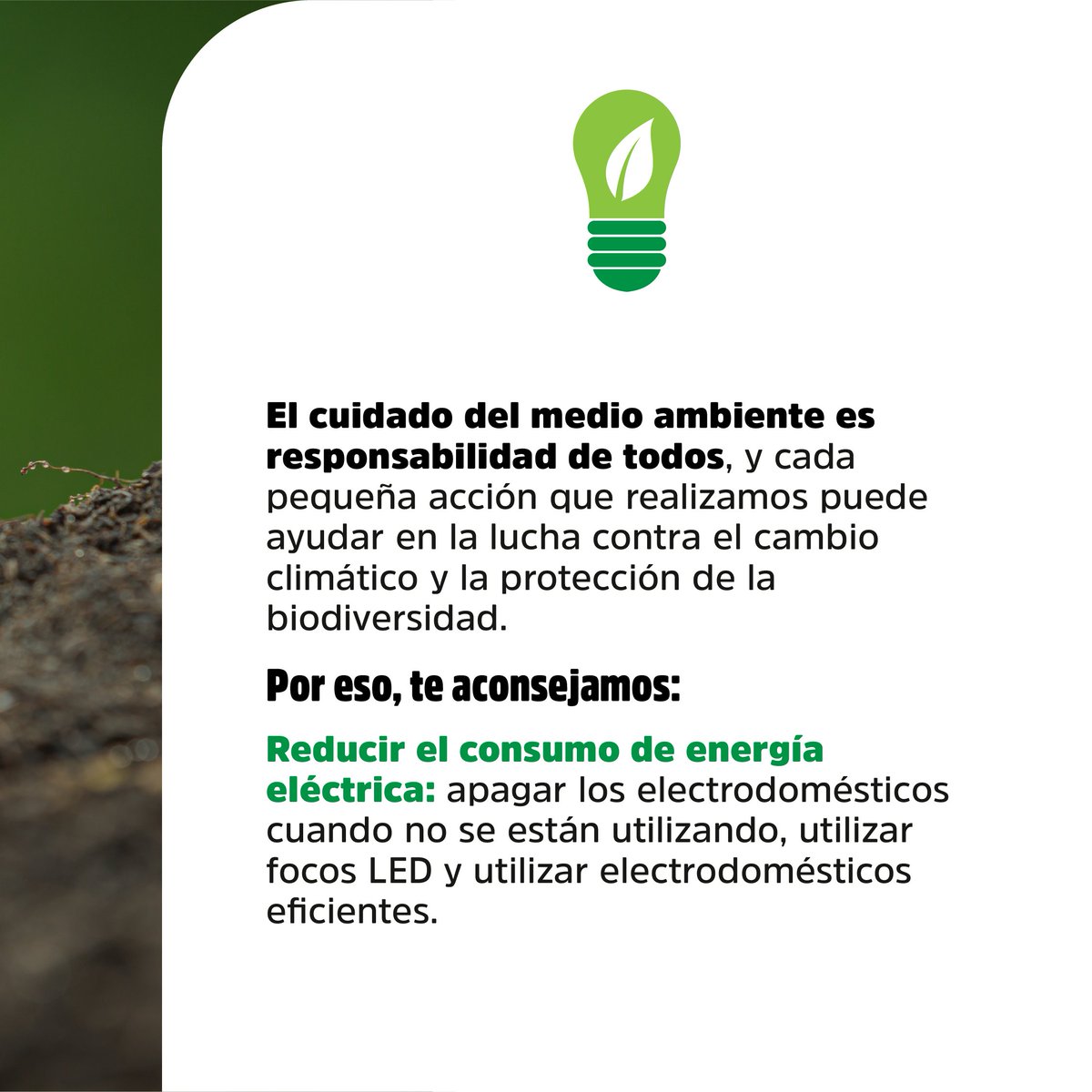 GobiernoTucuman's tweet photo. El cuidado del medioambiente es responsabilidad de todos, si nos involucramos podemos lograr cambios significativos para preservar el planeta. ♻️🌿🌏 https://t.co/oaCO8YPVSN