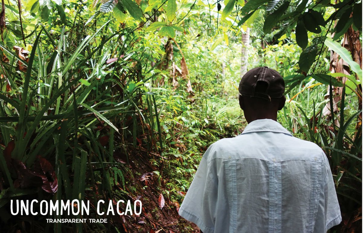 honeymoonchocolates tweet media