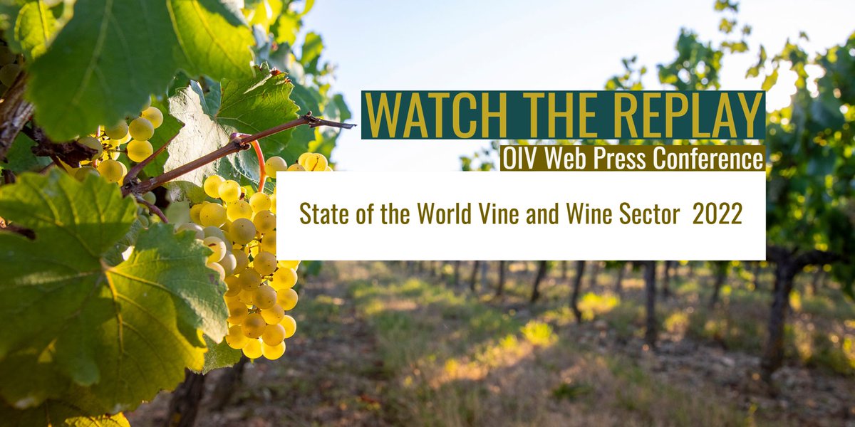 📣OIV Press Conference State of the World Vine and Wine Sector

WATCH THE REPLAY IN: English, French and Spanish 

 ▶️ REPLAY - bit.ly/3oBxPN2