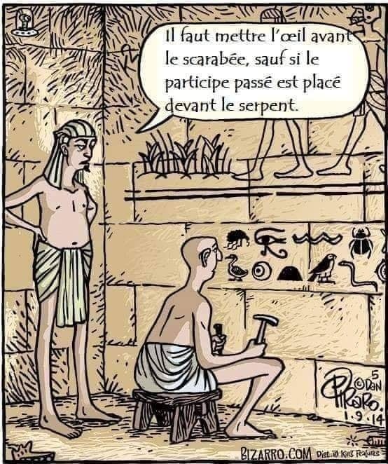 Emmanuelle Jeannot, Chartered Translator tweet media