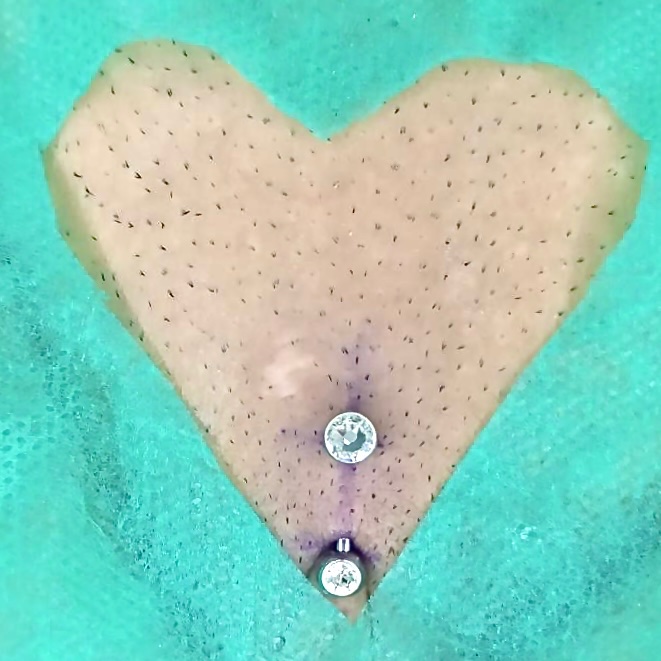Lizzy_piercer's tweet photo. Christina piercing ✨💫 
Jóia de titânio 
L-bar com 2 pedrinhas
Topo flat pra melhor encaixe na anatomia da região https://t.co/NVVH1TBec4