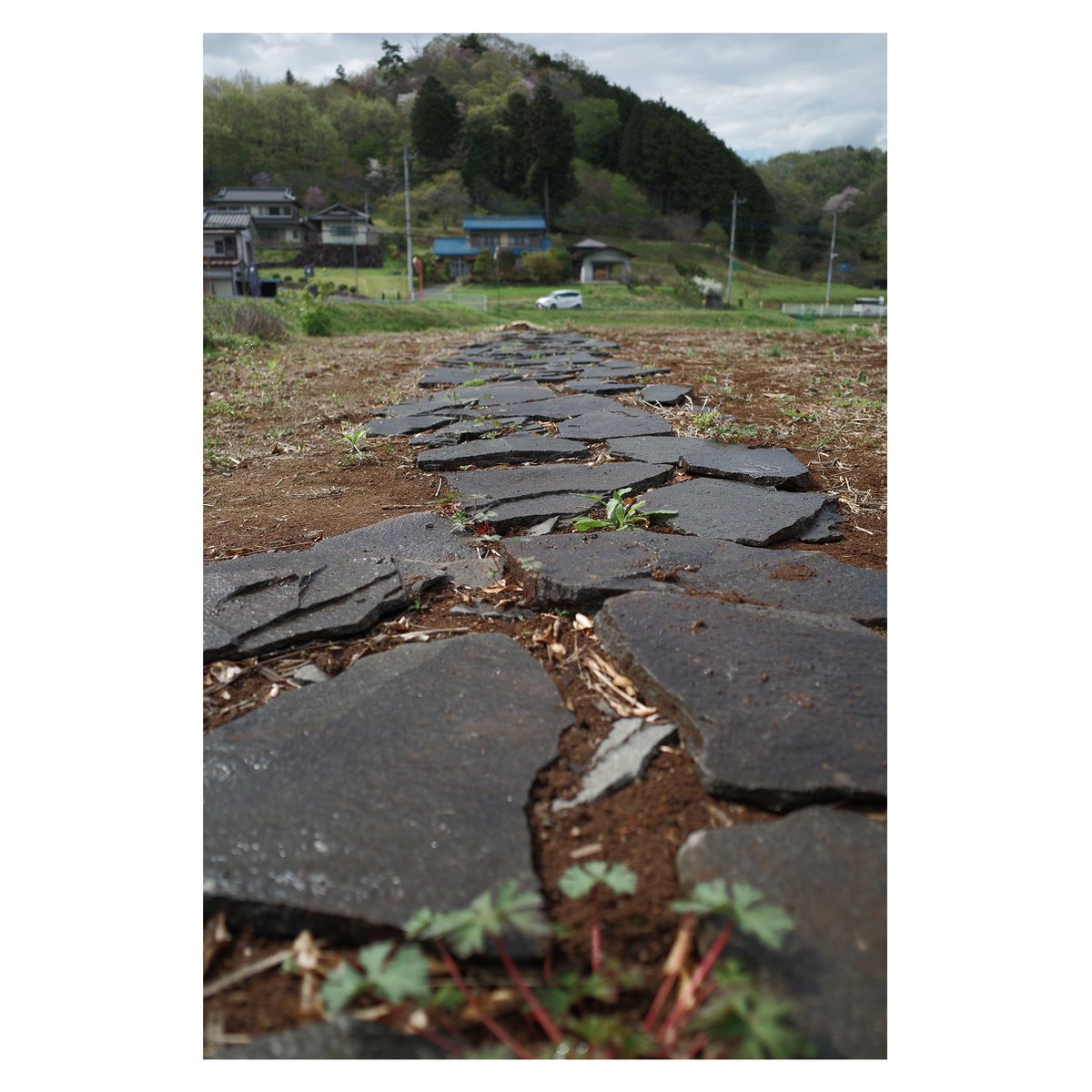 likeabird2024's tweet photo. なんでもない日常こそが、一番大切な日々。
#gr3 #撮って出し #クロスロード https://t.co/PEArZ9QFK4