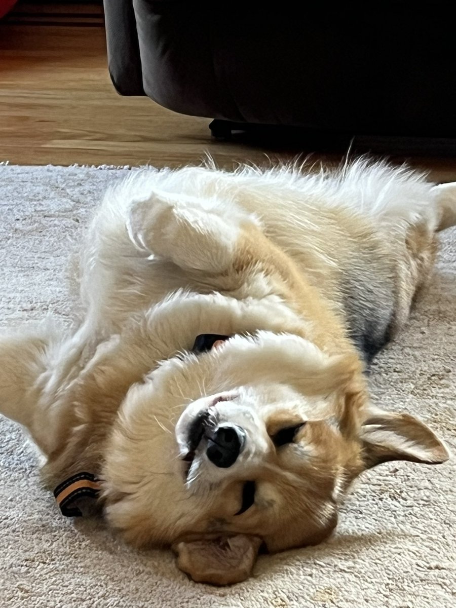 IPNLowe's tweet image. Happy Friday!!