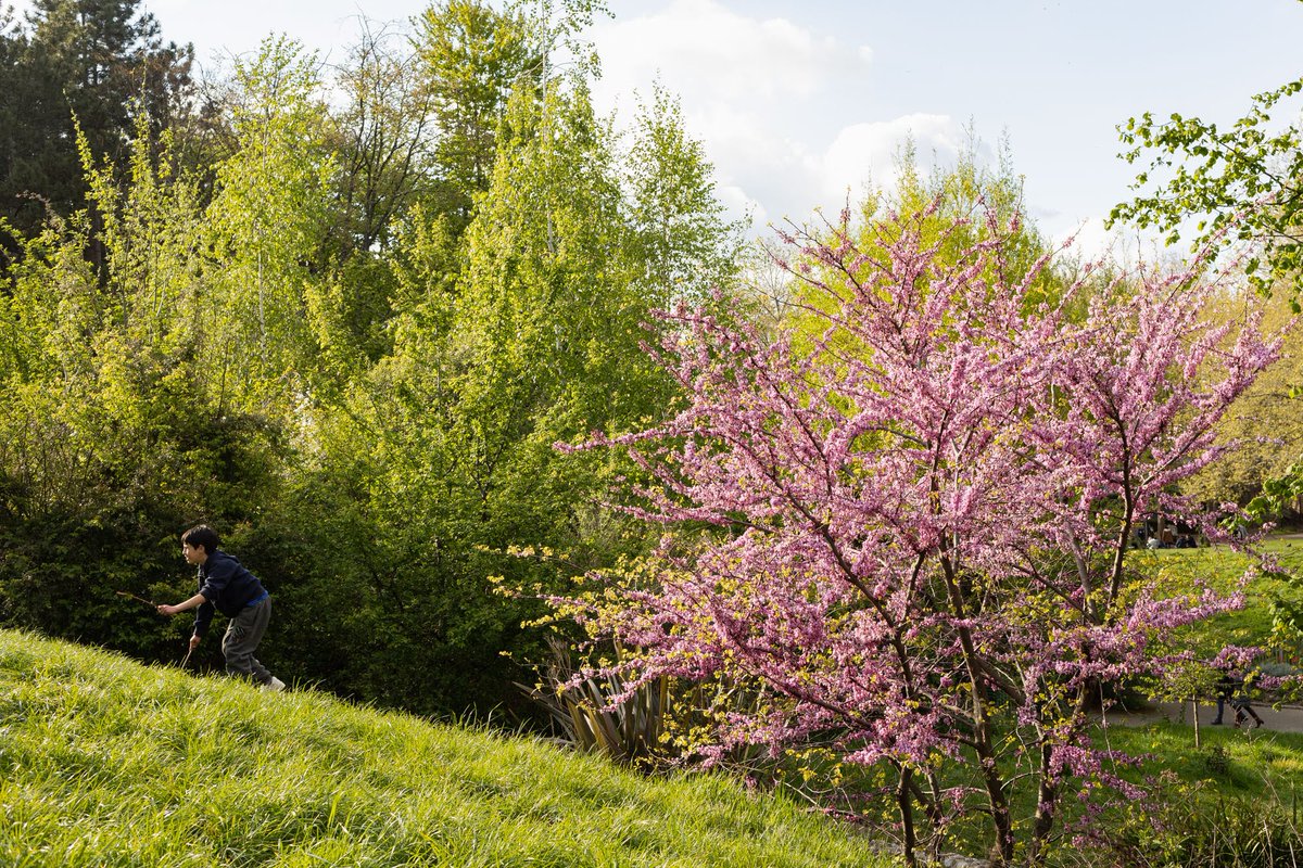 Paris's tweet image. Connaissez-vous ce parc ? 😎