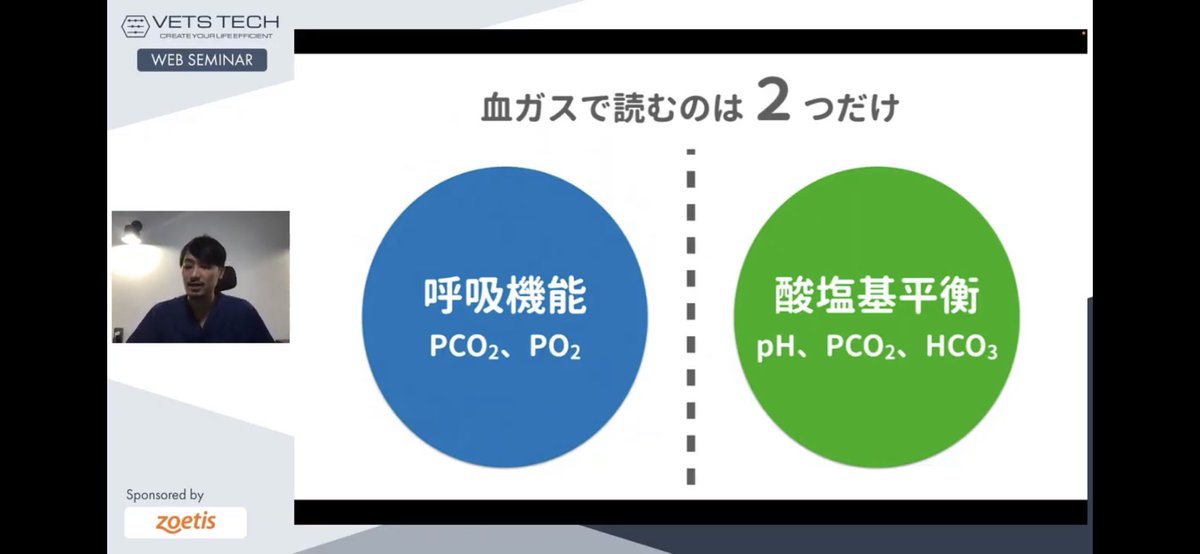 JDAADDICT's tweet photo. ためになりました、血液ガスセミナー🙇🏻♀️✨
#VETSTECH https://t.co/JajBiE1NUR