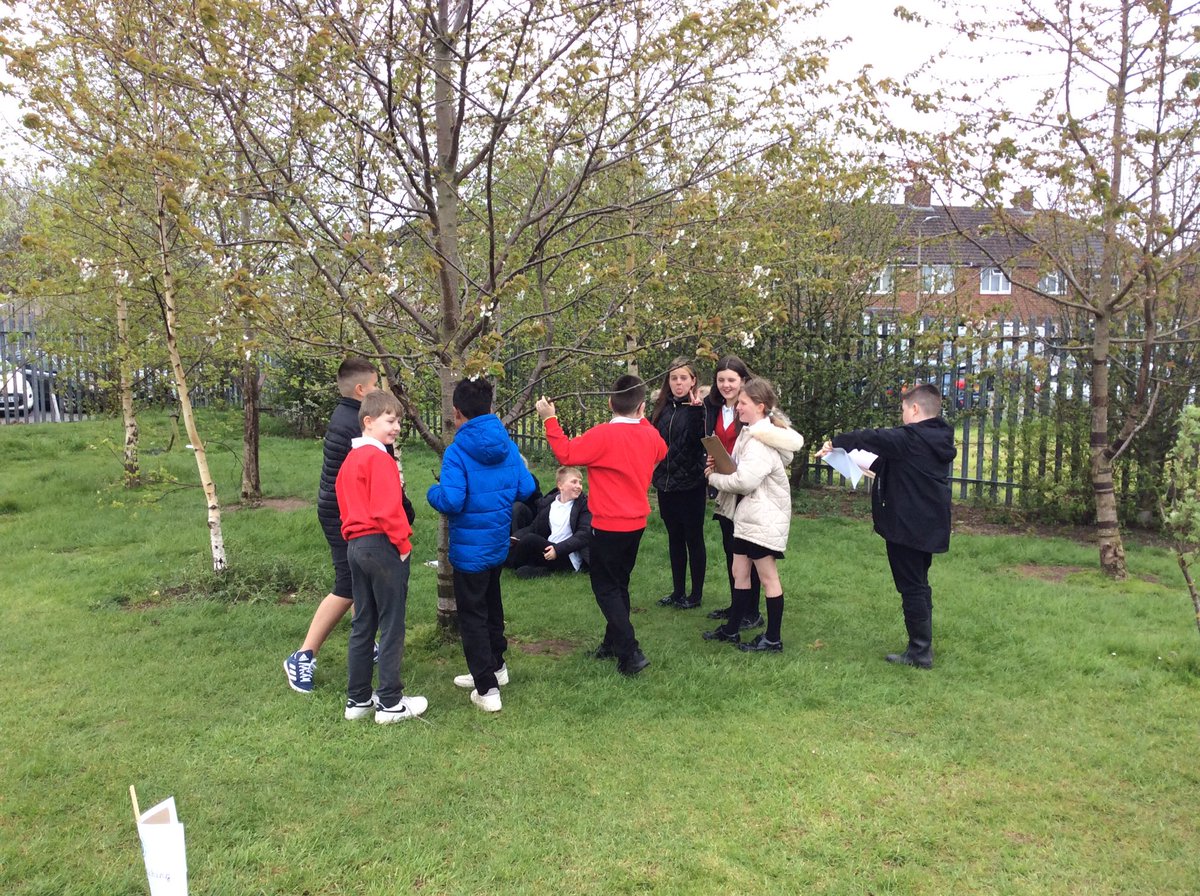 Chestnut_yacad's tweet photo. And now for the tree sketching... @walnut_Yacademy https://t.co/Gniqdat9kX