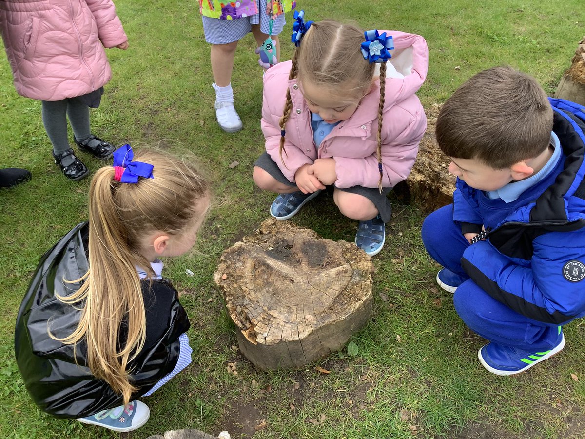 StGregorysEYFS's tweet photo. 🌟Exploring , investigating and having fun in the outdoor environment.🔎 @StGregorysNeth #miniexplorers #EYFS #outdoorlearningEYFS https://t.co/HQxgXFG2OZ
