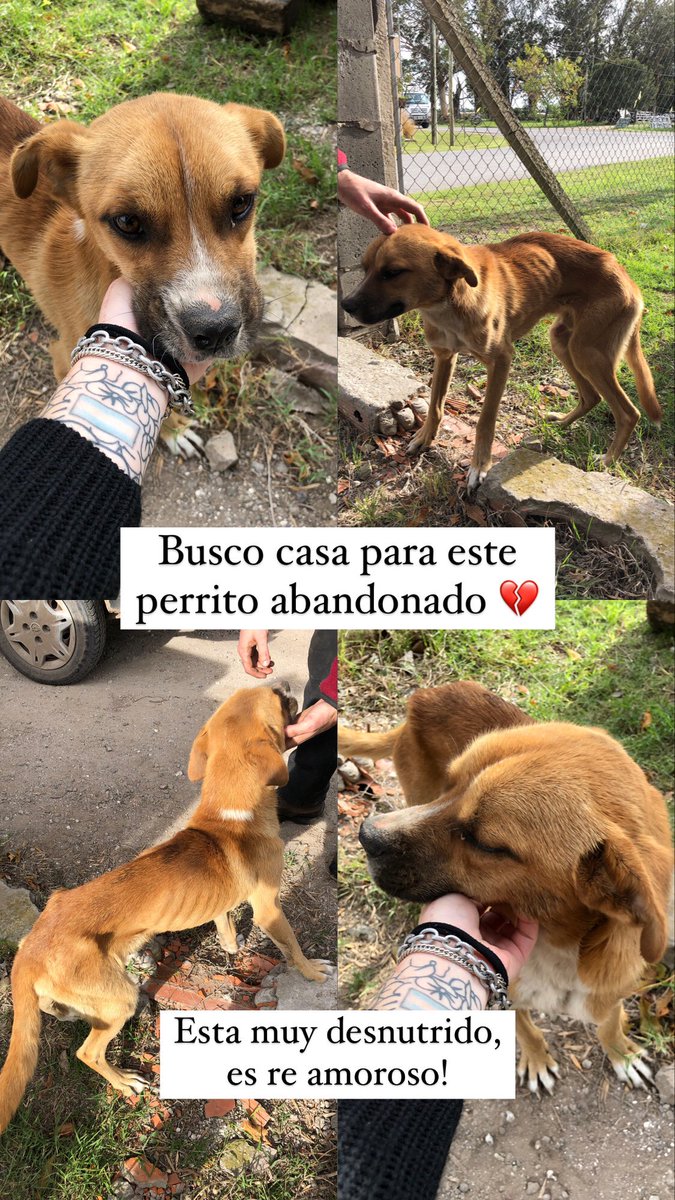 Compartan porfis 💔