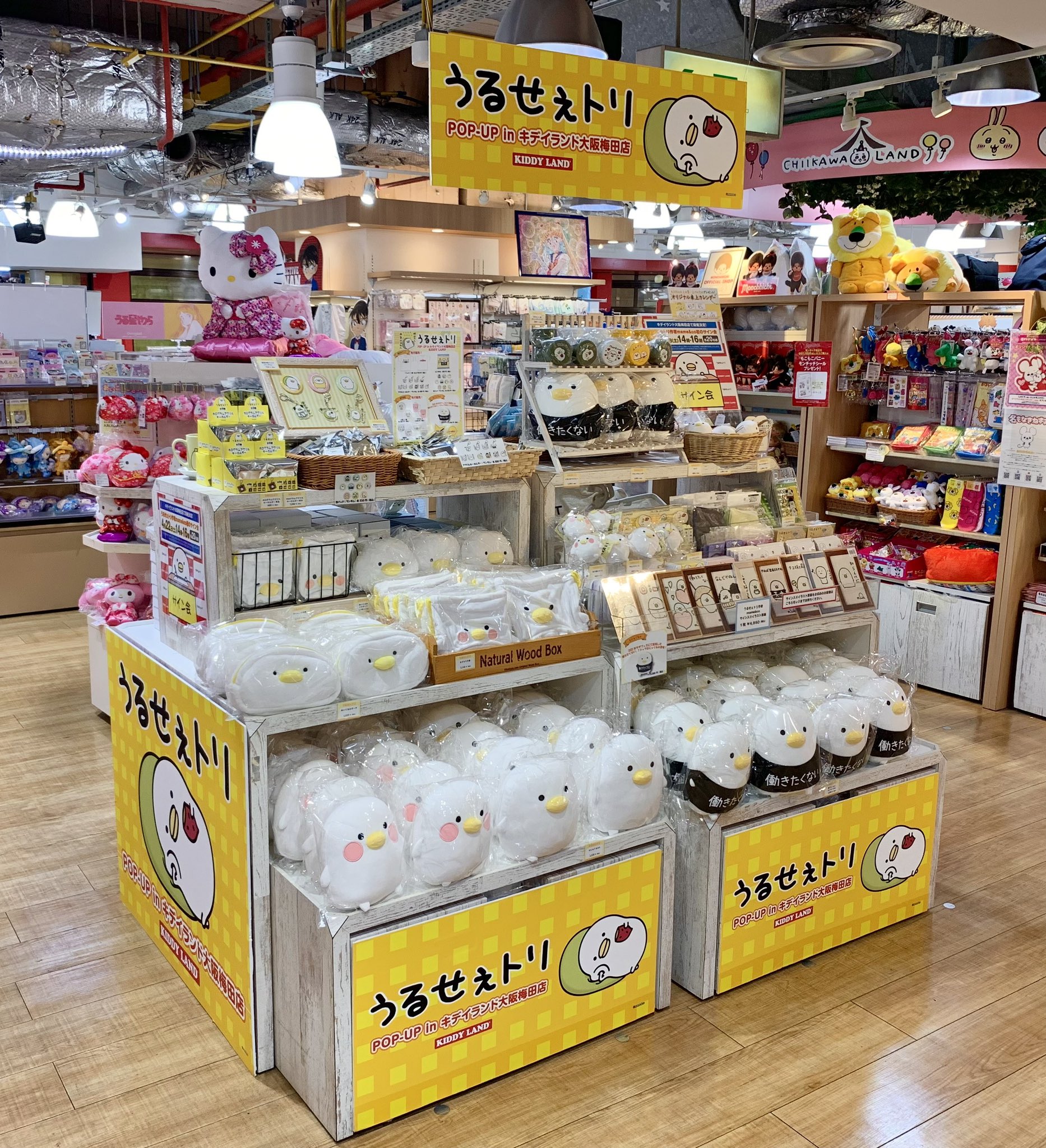 キデイランド大阪梅田店【公式】 on X: 
