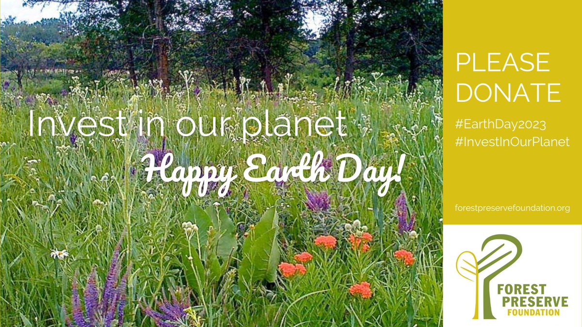 ForestPresFund's tweet photo. The Forest Preserves of Cook Count is home to nearly 70,000 acres of wild and wonderful forest preserves, which help clean our air and water and absorb carbon emissions and stormwater. Please #InvestInOurPlanet this #EarthDay by donating to the Forest Preserve Foundation. https://t.co/KYm7OVf0iH
