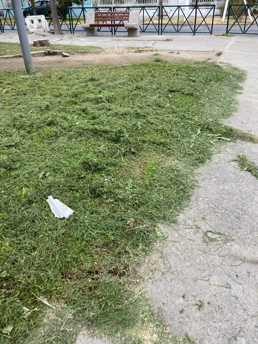 denunciamejor's tweet photo. Se reacciona con una manera subdesarrollada en el proceder… cortaron ayer y dejan pasto sin retirar @erikamartinez_o @SanMiguel_CL 👁 @concejaldiban @carolaonofri @gabozuniga @EBalcazarG 🚨 Plaza Barros Luco #SanMiguelCL #SanMiguel https://t.co/tV3wzx7qRH