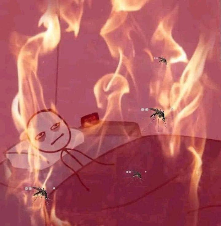 unhappykiddd's tweet image. &quot;Summer is better than winter&quot;

The summer: